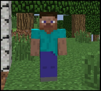 Oto zwykły podstawowy ludzik z minecrafta ;) .