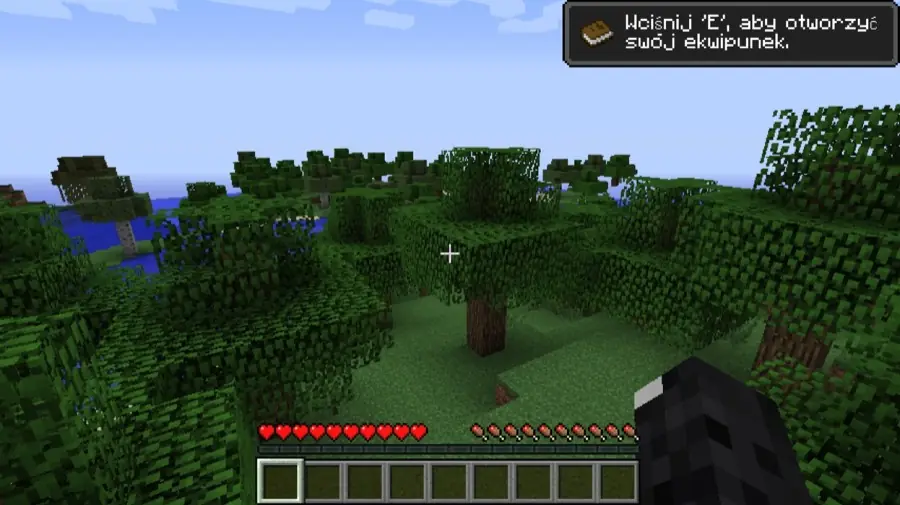 Ilustracja: minecraft 5 minecraft 5 — MineStart #0 Poradnik początkującego: Przygotowania do gry. Poradnik